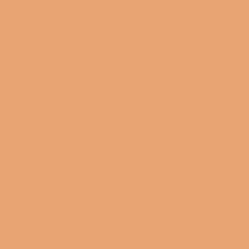 Lehmfarbe Arancio - CL125